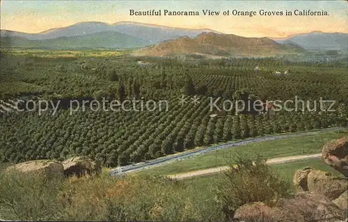 Landwirtschaft Orange Groves California Kat. Landwirtschaft