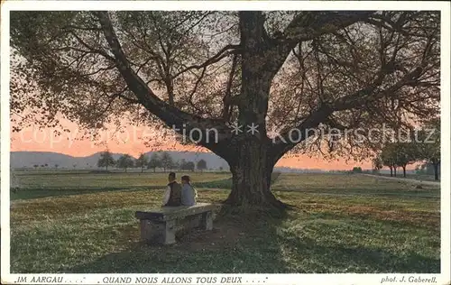 Foto Gaberell J. Nr. 6991 Aargau Baum  Kat. Fotografie Schweiz