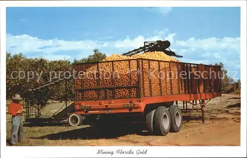 Orangen Oranges Mining Florida Gold Kat. Landwirtschaft