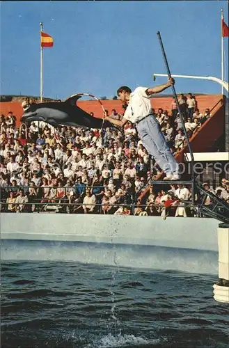 Delphine Marineland of the Pacific Rancho Palos Verdes  Kat. Tiere