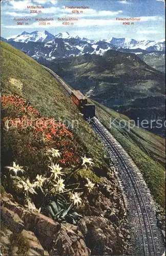 Zahnradbahn Brienzer Rothorn Berner Hochalpen Edelweisse Kat. Bergbahn