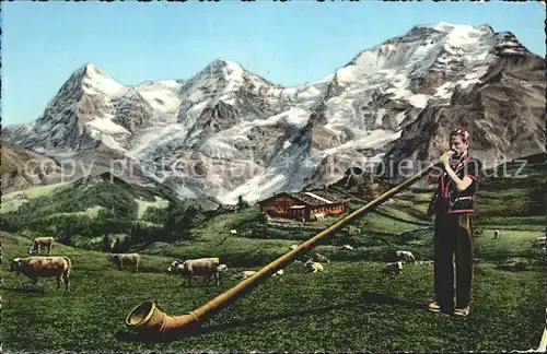 Alphorn Alphornblaeser Kuehe  Kat. Musik