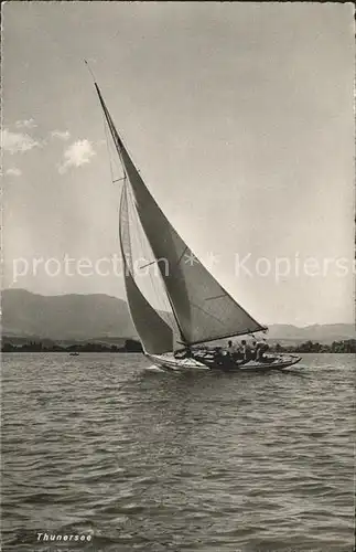 Segelboote Thunersee  Kat. Schiffe