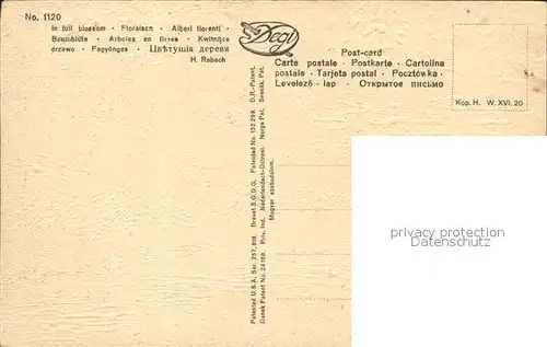 Kuenstlerkarte H. Rabach Baumbluete Nr. 1120  Kat. Kuenstlerkarte