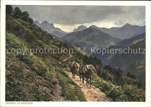 Esel Tiere Saeumer Rhaetikon Berge Heimatbilder Nr. 41 1755 Kat. Tiere