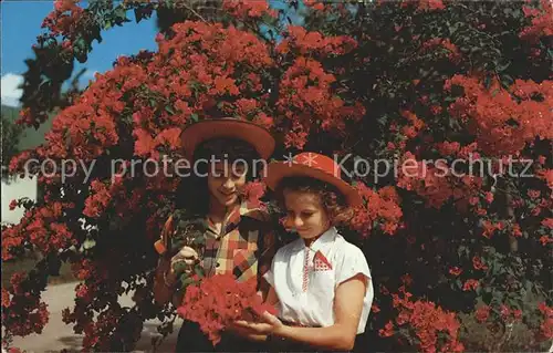 Blumen Magenta bougainvillea blooms South Texas Kinder Kat. Pflanzen