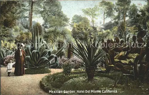 Kakteen Mexican Garden Hotel Del Monte California Kat. Pflanzen