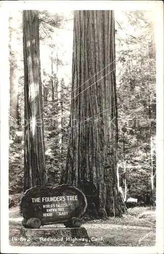 Baeume Trees The Founder s Tree Redwood Highway California Kat. Pflanzen