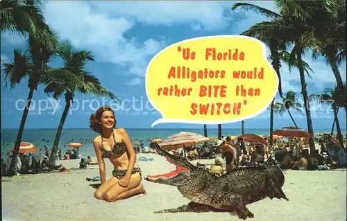 Tiere Alligator Frau Bademode Florida  Kat. Tiere