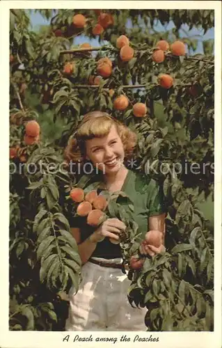 Obst Baum Pfirsiche Peach Frau  Kat. Lebensmittel