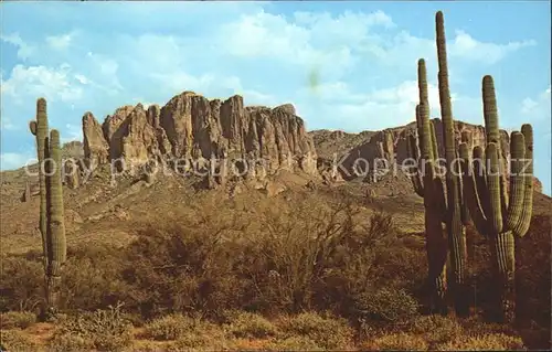 Kakteen Superstition Mountains  Kat. Pflanzen