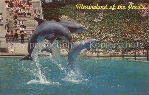 Delphine Marineland of the Pacific Leaping Dolphin Trio Kat. Tiere