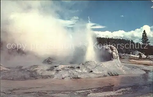 Geysire Vulcans Geysers Vulkane Grotto Geyser Upper Geyser Basin Yellowstone National Park Kat. Natur