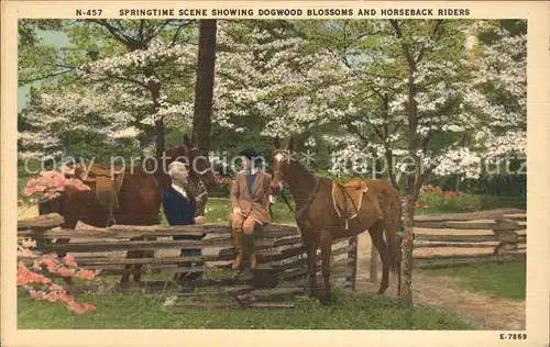 Pferde Springtime scene Dogwood Blossoms Horseback Riders Kat. Tiere