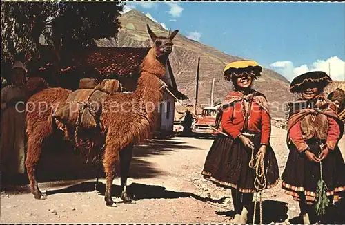 Tiere Lama Native Girls Pisac Peru Kat. Tiere