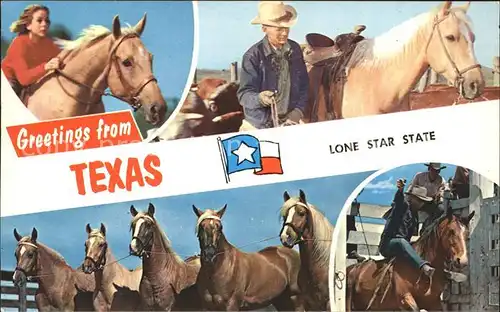 Pferde Cowboy Texas Lone Star State Kat. Tiere