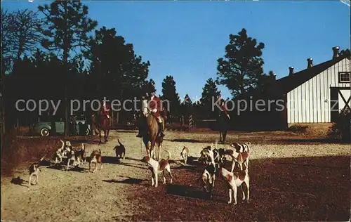Hunde Pferde Moore County Hounds Southern Pines  Kat. Tiere