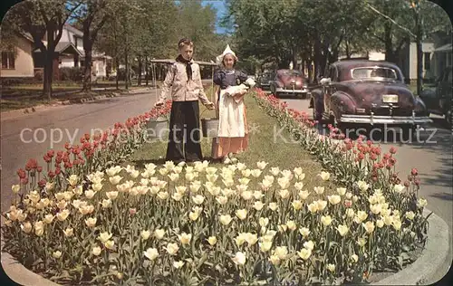 Blumen Tulpen Tulip Boulevard Holland Michigan  Kat. Pflanzen