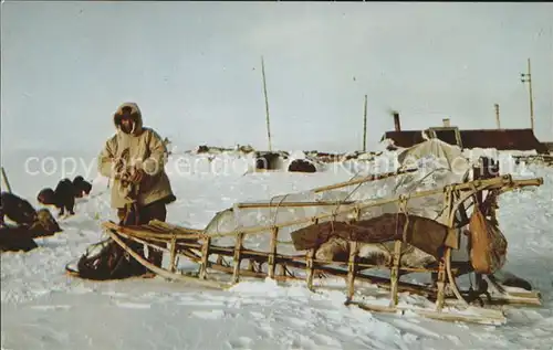 Schlitten Schnee Eskimo Sled Alaska Kat. Sport