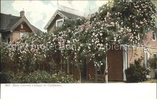 Rosen Rose covered Cottage California Kat. Pflanzen