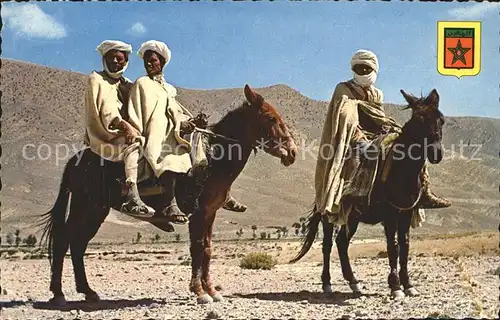 Pferde Typen Marokko Berberische Reiter  Kat. Tiere