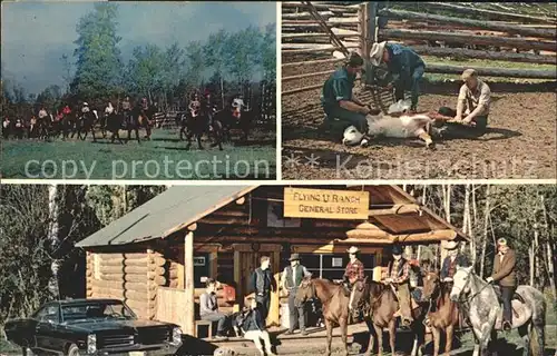 Pferde Flying U Ranch Mile House British Columbia Kat. Tiere