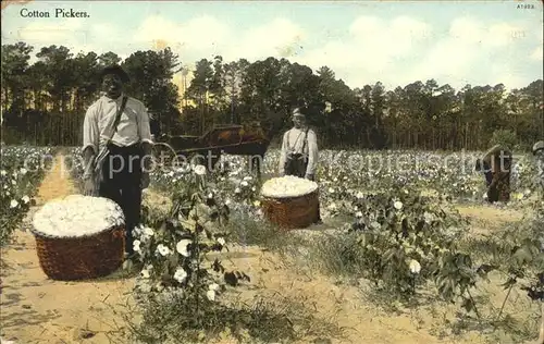 Cotton Pickers Baumwollpfluecker Atlanta Pferd Kat. Landwirtschaft