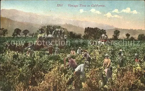 Ernte Landwirtschaft Vintage Time California  Kat. Landwirtschaft