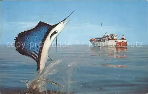 Fische Speerfisch Marlin Fischerboot  Kat. Tiere