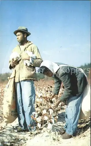 Baumwollpfluecker Cotton Pickers  Kat. Landwirtschaft