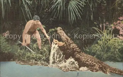 Krokodile Alligator Big George Ross Allen Silver Springs Florida Kat. Tiere