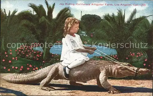 Krokodile Joy Riding California Alligator Farm Los Angeles Kind Maedchen Kat. Tiere