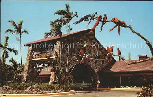 Papagei Parrot Jungle Miami Florida  Kat. Tiere