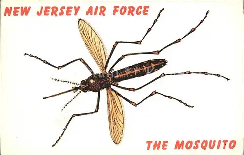 Insekten Mosquito New Jersey Air Force  Kat. Tiere