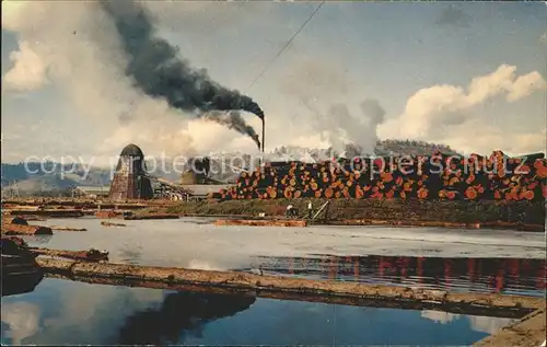 Saegemuehle Log Pond Sawmill  Kat. Landwirtschaft