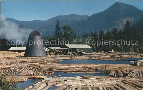 Saegemuehle Sawmill Log Pond  Kat. Landwirtschaft