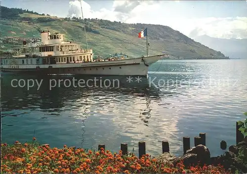 Dampfer Binnenschifffahrt Italie Lac Leman Genfersee  Kat. Schiffe