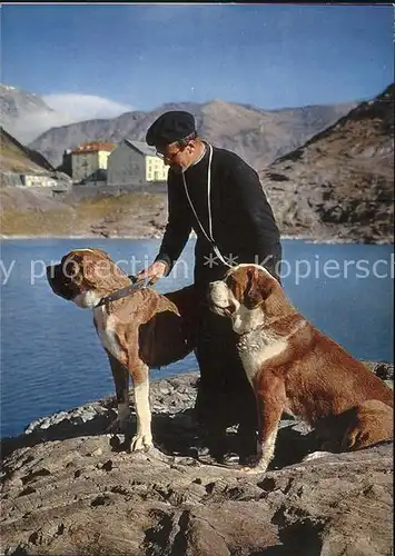 Bernhardiner Moench Hospice du Saint Bernard  Kat. Tiere