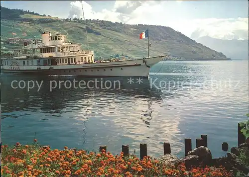 Dampfer Binnenschifffahrt Italie Lac Leman Genfersee  Kat. Schiffe