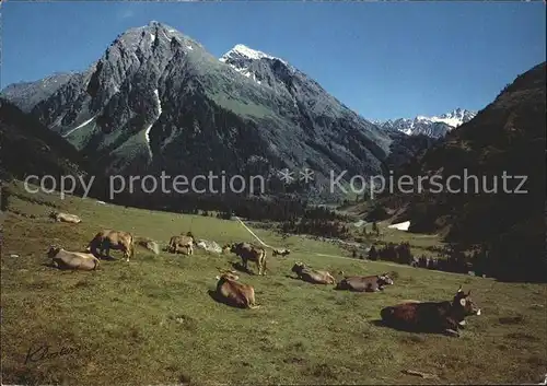 Kuehe Klosters Alp Pardenn Canardhorn Vereina Weisshorn Kat. Tiere