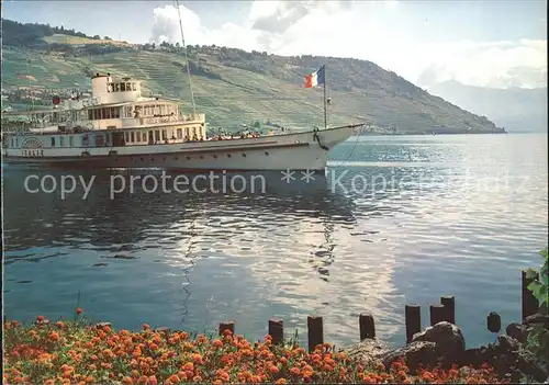 Dampfer Binnenschifffahrt Italie Lac Leman Genfersee Kat. Schiffe