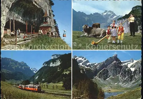 Alphorn Alphornblaeser Appenzellerbahn Alpstein Wildkirchli  Kat. Musik