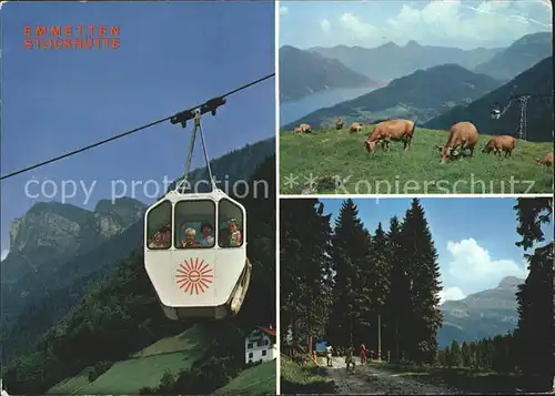 Seilbahn Emmetten-Stockhuette Kuehe  / Bahnen /