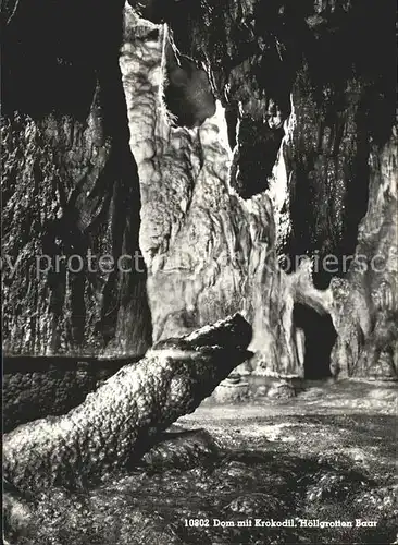 Hoehlen Caves Grottes Dom Krokodil Hoellgrotten Baar  Kat. Berge