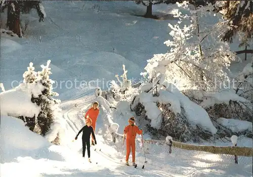 Skifahren Langlauf  Kat. Sport