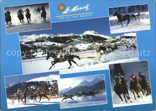 Pferdesport Pferderennen Reitsport St. Moritz St. Moritzersee / Sport /