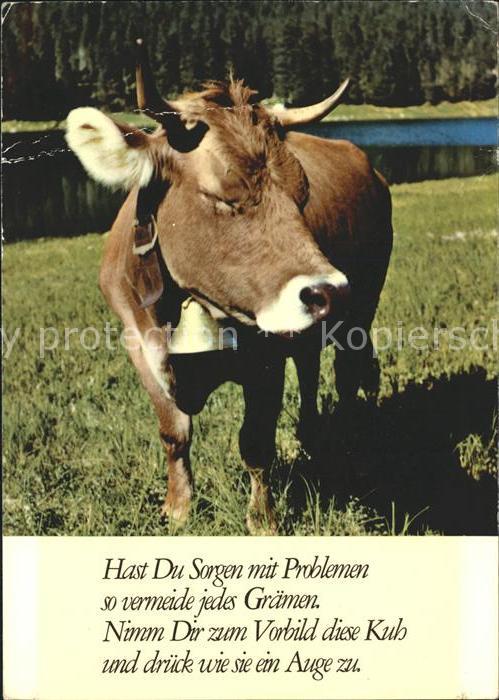 Kuehe Kuhglocke Gedicht Spruch Kat. Tiere Nr. st73805 oldthing