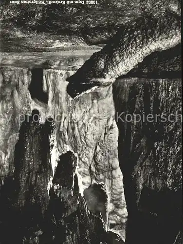 Hoehlen Caves Grottes Hoellgrotten Baar Dom Krokodil Kat. Berge