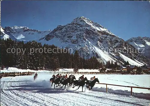 Pferdesport Pferderennen Reitsport Obersee Arosa  / Sport /