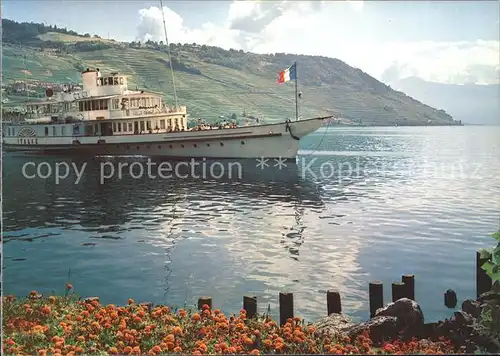 Dampfer Binnenschifffahrt Italie Lac Leman  Kat. Schiffe